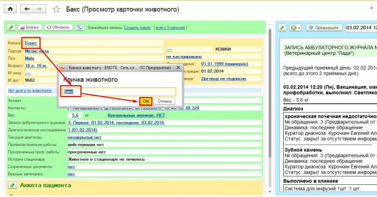 Пое пациент карта гадальная